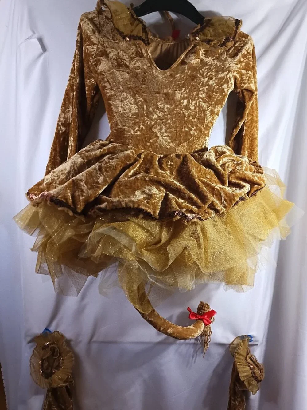 Costume Girls Lion Costume Size 6-8